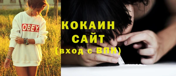 мет Няндома