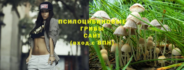 мет Няндома