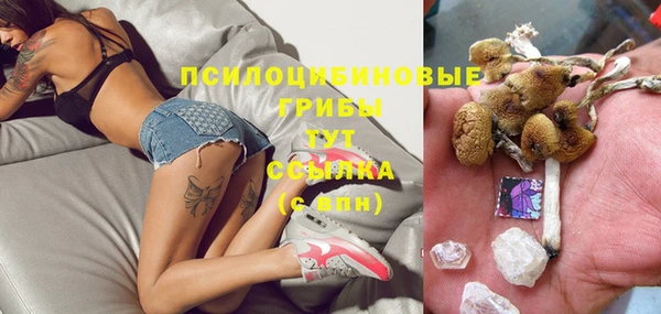 гашик Нягань